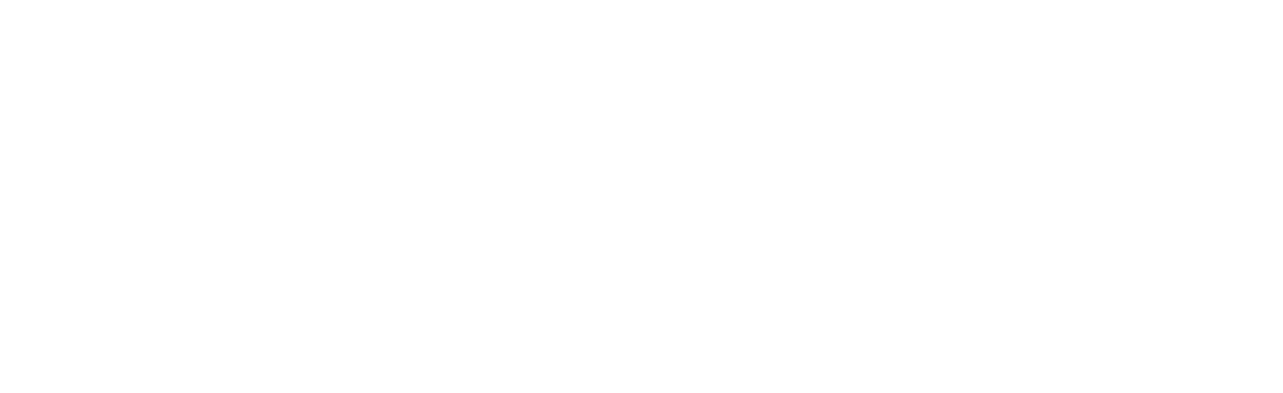 Fisiomica di Michele Cappelletti: Fisioterapista ad Amandola (AP) Logo